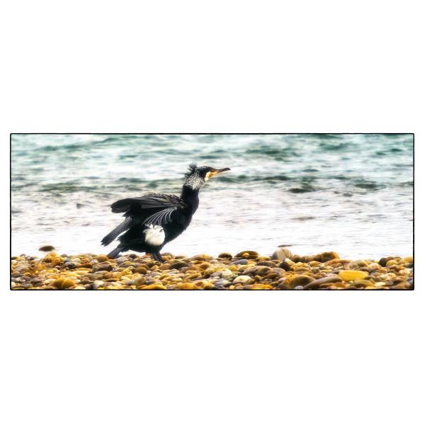 PHOTO84, CLUB, 84 , LUBERON